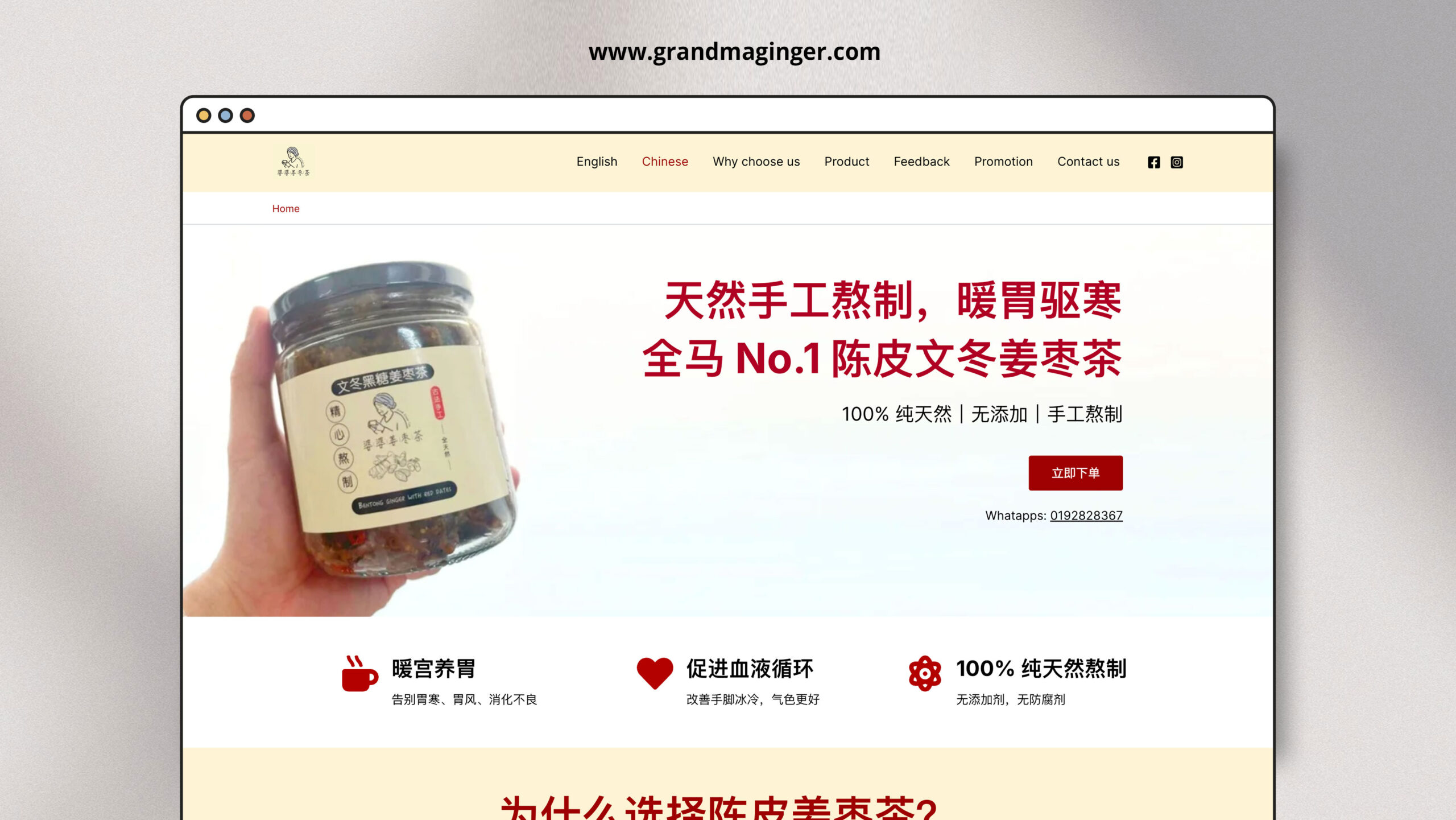 grandmaginger-proffesional-website