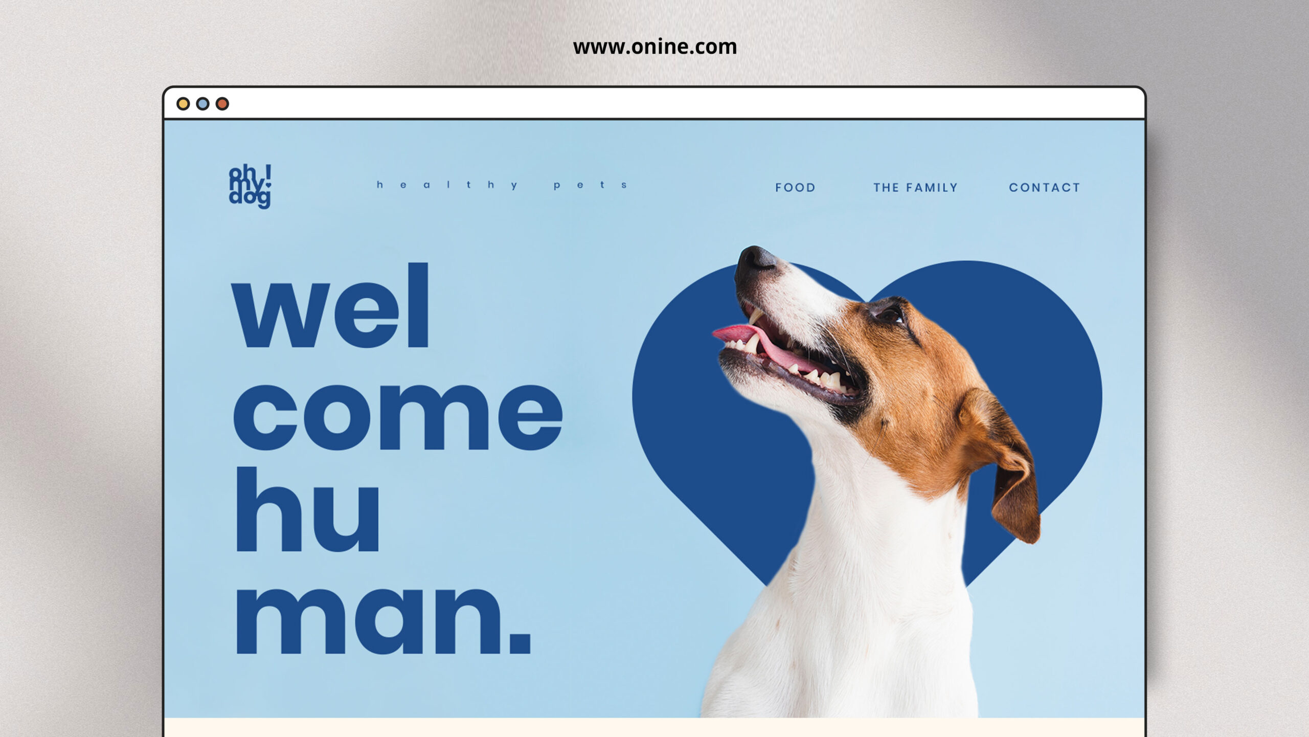 proffesional website